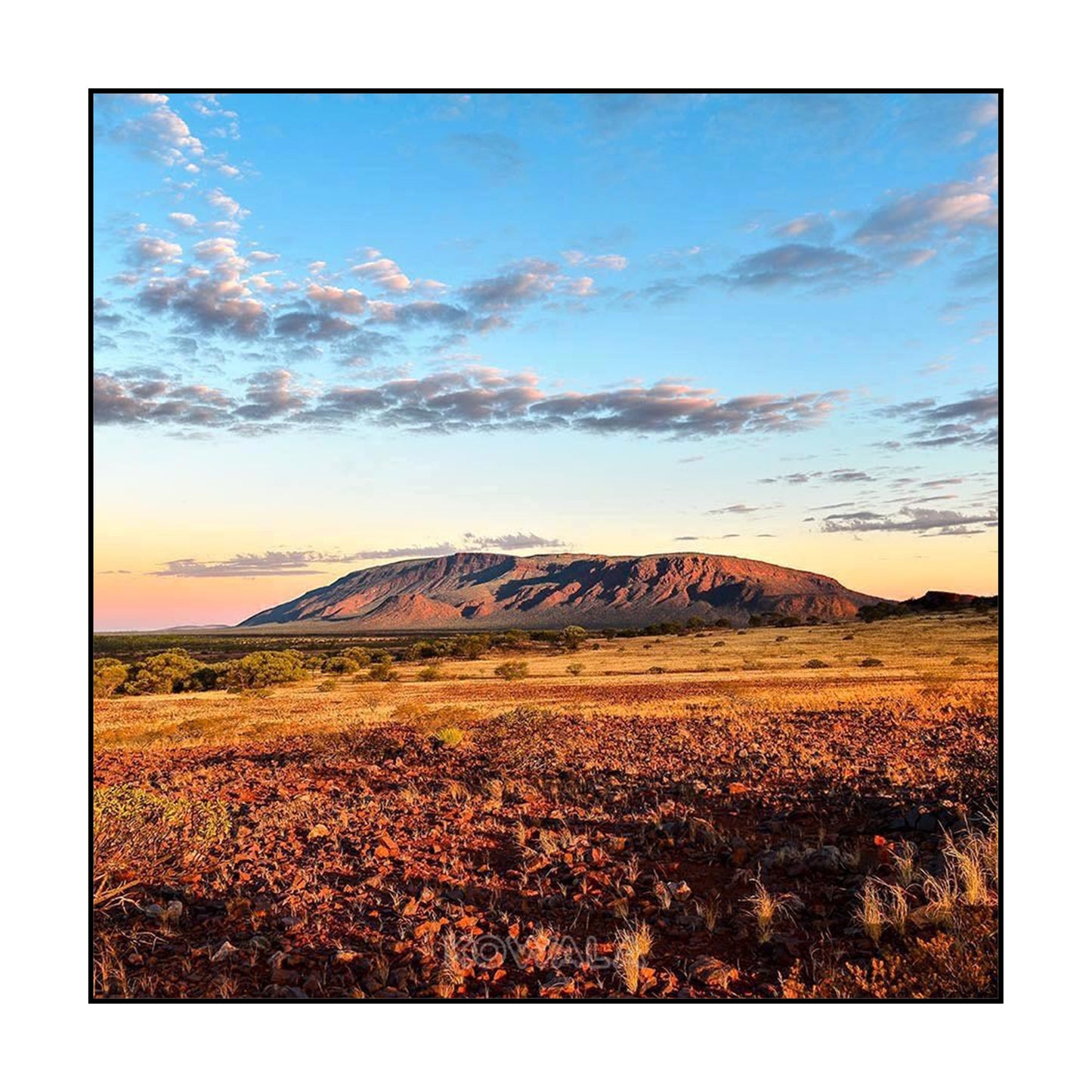 T-SHIRT AUSTRALIE / INSIDE