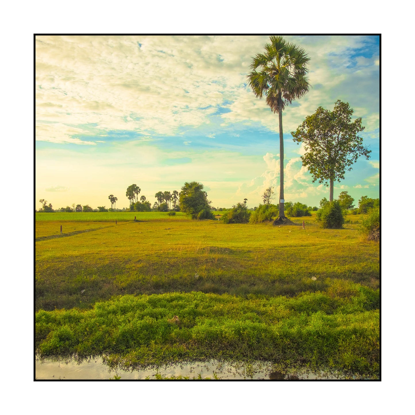 T-SHIRT CAMBODGE / OUTSIDE