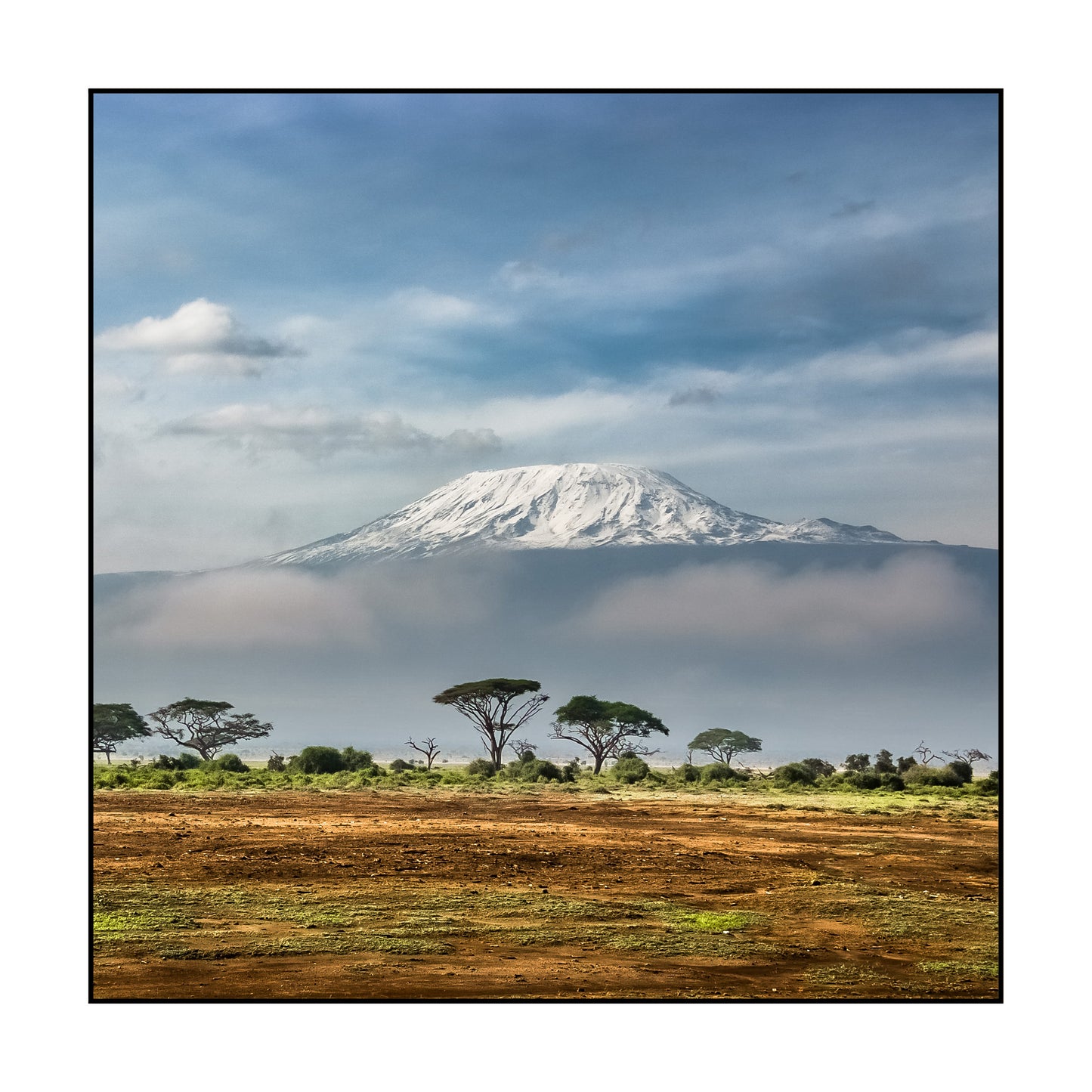 T-SHIRT TANZANIE / INSIDE