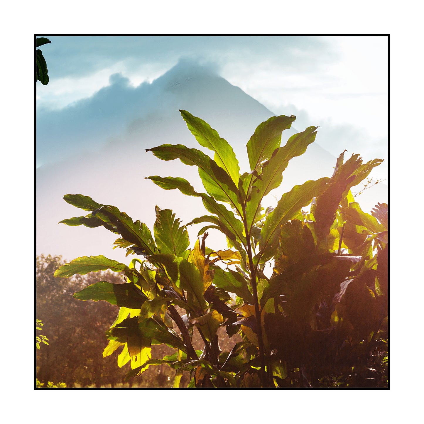 T-SHIRT COSTA RICA / BLEU CIEL