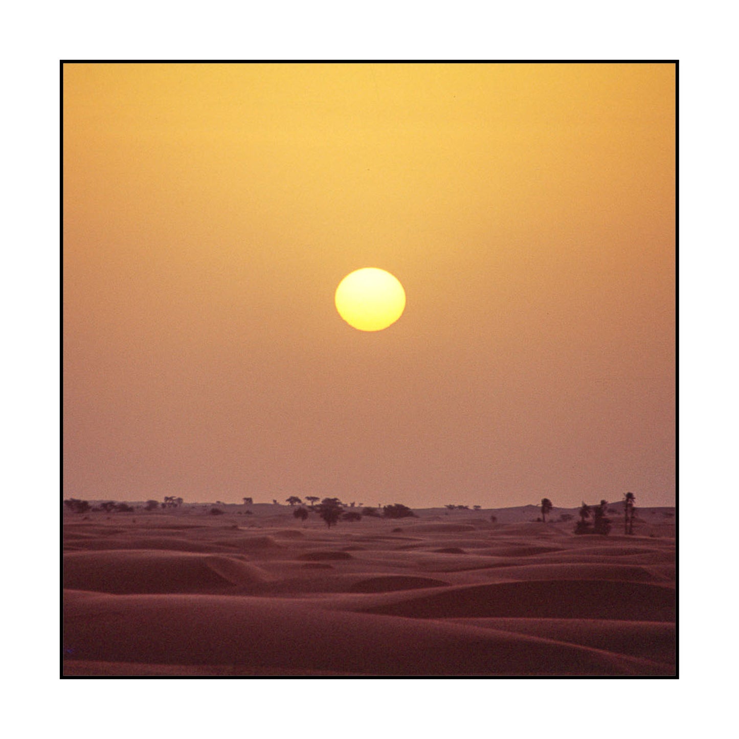 T-SHIRT MAURITANIE / INSIDE